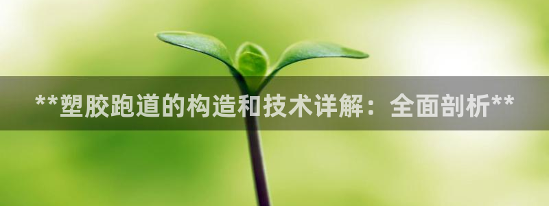 红足一1世皇冠登录：**塑胶跑道的构造和技术详解：全面剖析**