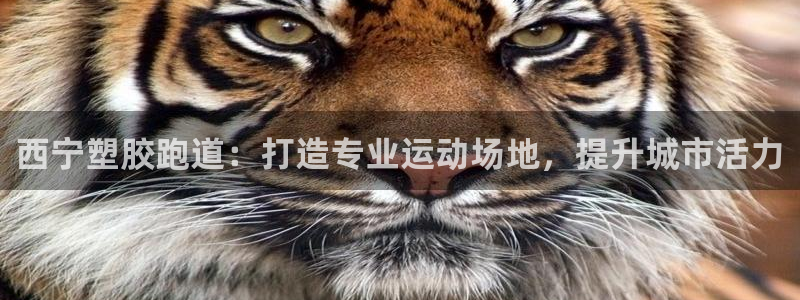 红足一1世官网：西宁塑胶跑道：打造专业运动场地，提升城市活力