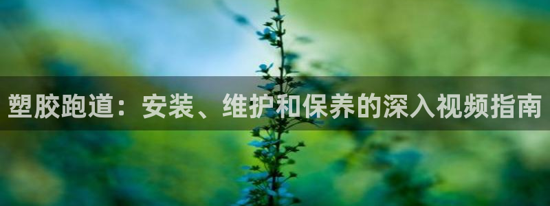 红足一1世手机版新皇冠：塑胶跑道：安装、维护和保养的深入视频指南