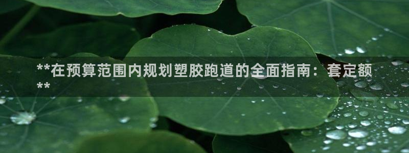 红足一：**在预算范围内规划塑胶跑道的全面指南：套定额
**