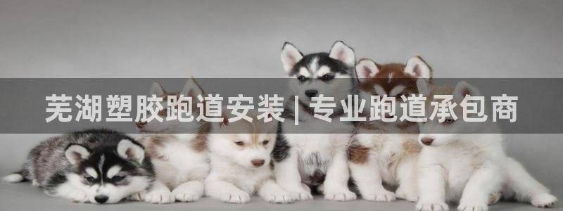 红足一1世皇冠：芜湖塑胶跑道安装 | 专业跑道承包商