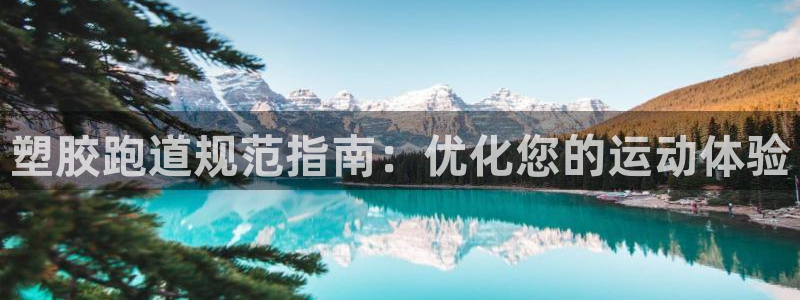 红足网足球直播：塑胶跑道规范指南：优化您的运动体验