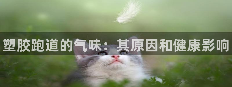 777814红·足一世比分篮球：塑胶跑道的气味：其原因和健康影响