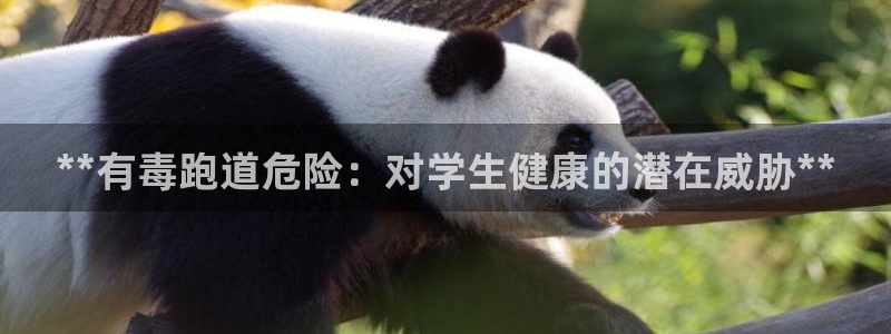 777814红·足一世比分篮球：**有毒跑道危险：对学生健康的潜在威胁**