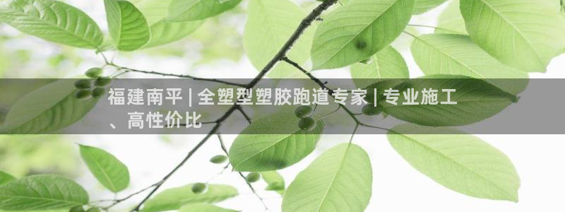 55814红足1世：福建南平 | 全塑型塑胶跑道专家 | 专业施工
、高性价比