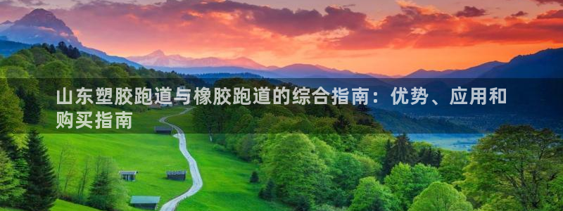 红足1一世：山东塑胶跑道与橡胶跑道的综合指南：优势、应用和
购买指南