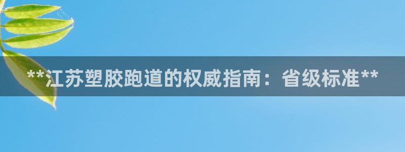 红足一：**江苏塑胶跑道的权威指南：省级标准**