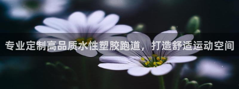 红足网足球直播：专业定制高品质水性塑胶跑道，打造舒适运动空间