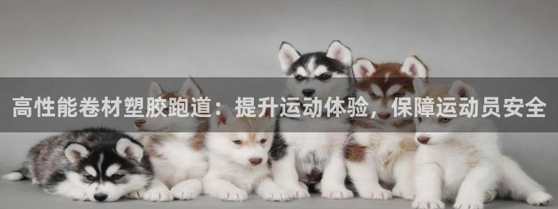 红足1世足球网址：高性能卷材塑胶跑道：提升运动体验，保障运动员安全