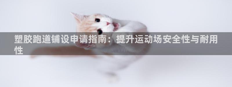 红足1一世开奖版：塑胶跑道铺设申请指南：提升运动场安全性与耐用
性