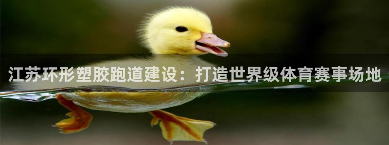 红足1世足球比分：江苏环形塑胶跑道建设：打造世界级体育赛事场地