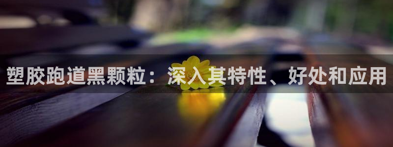红足一1世平台：塑胶跑道黑颗粒：深入其特性、好处和应用