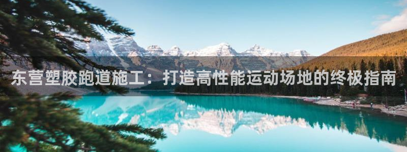 红足一1世比分球探：东营塑胶跑道施工：打造高性能运动场地的终极指南