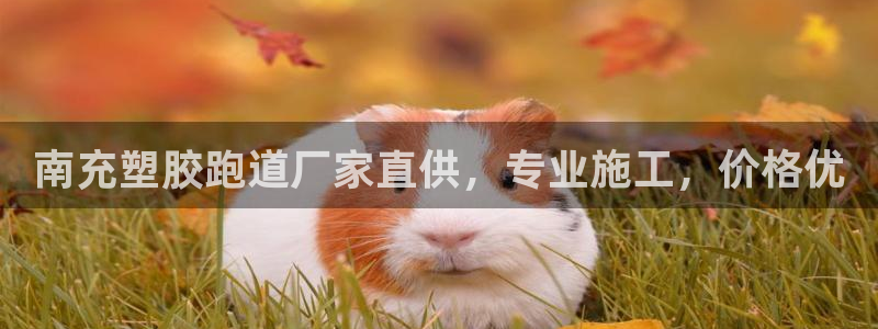 红足一1世手机皇冠：南充塑胶跑道厂家直供，专业施工，价格优

