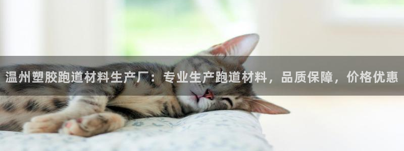 百度红足一1使用说明