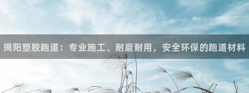 红足1世官网：揭阳塑胶跑道：专业施工、耐磨耐用，安全环保的跑道材料