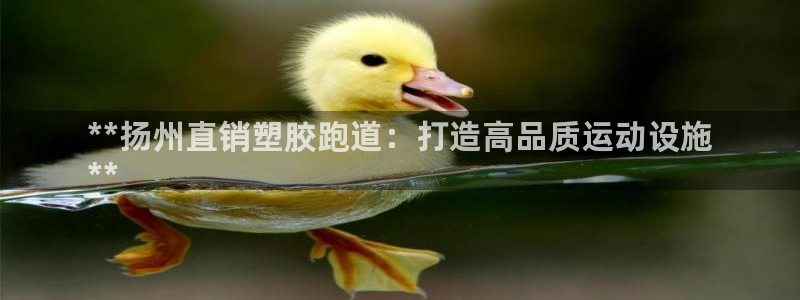 红足1一世开奖版：**扬州直销塑胶跑道：打造高品质运动设施
**