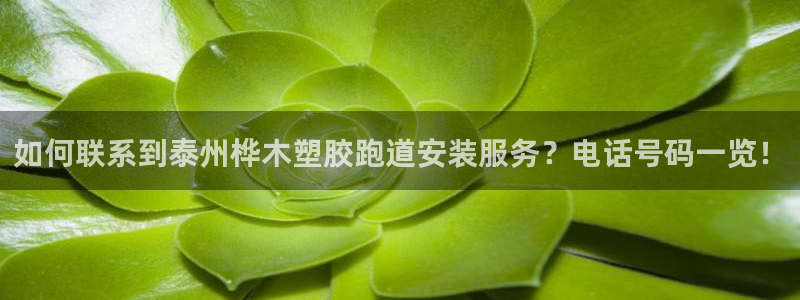红足1一世红：如何联系到泰州桦木塑胶跑道安装服务？电话号码一览！