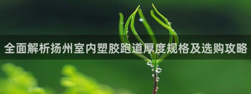 66814红足一66814世：全面解析扬州室内塑胶跑道厚度规格及选购攻略