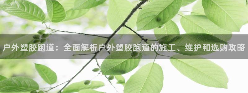 百度红足一1世：户外塑胶跑道：全面解析户外塑胶跑道的施工、维护和选购攻略