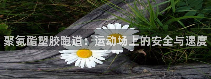 红足一1世比分网