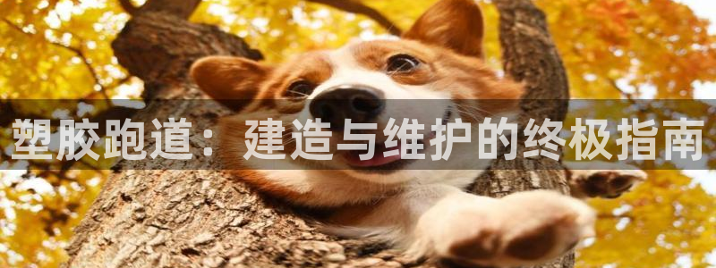 红足一生世：塑胶跑道：建造与维护的终极指南