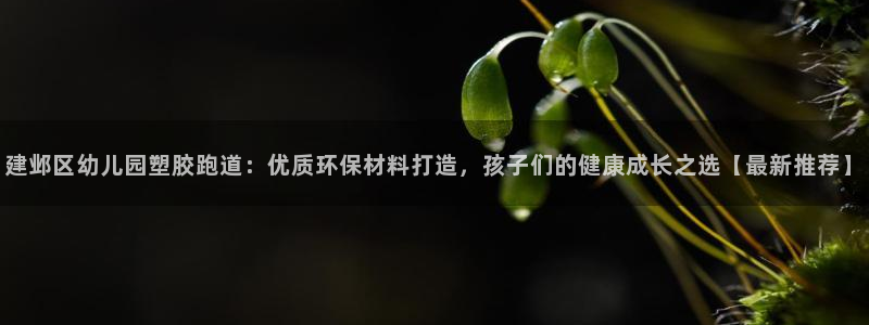 红足一一世足球网开奖记录