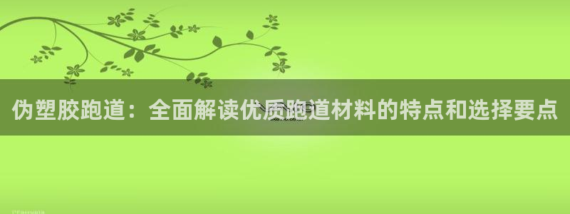 红足1世1站：伪塑胶跑道：全面解读优质跑道材料的特点和选择要点