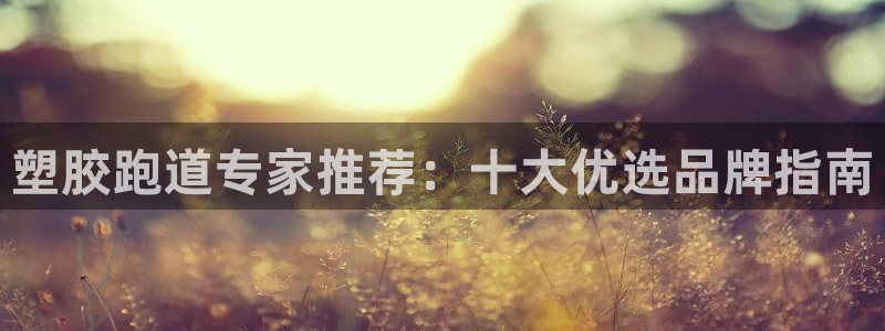 红足一1世666814足球：塑胶跑道专家推荐：十大优选品牌指南