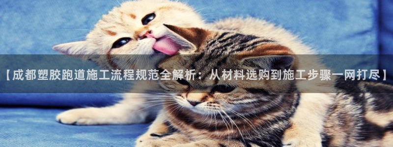 红足一丰：【成都塑胶跑道施工流程规范全解析：从材料选购到施工步骤一网打尽】