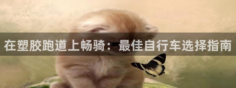 红足1世足球比分 localhost：在塑胶跑道上畅骑：最佳自行车选择指南