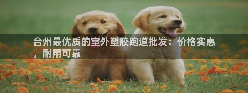 红足一1世皇冠：台州最优质的室外塑胶跑道批发：价格实惠
，耐用可靠