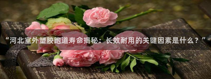666814红·足一世比分