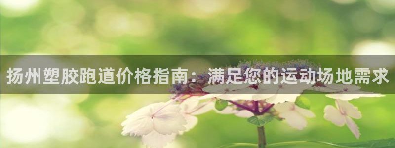 红足足球网：扬州塑胶跑道价格指南：满足您的运动场地需求