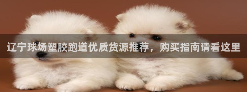 777814红·足一世：辽宁球场塑胶跑道优质货源推荐，购买指南请看这里