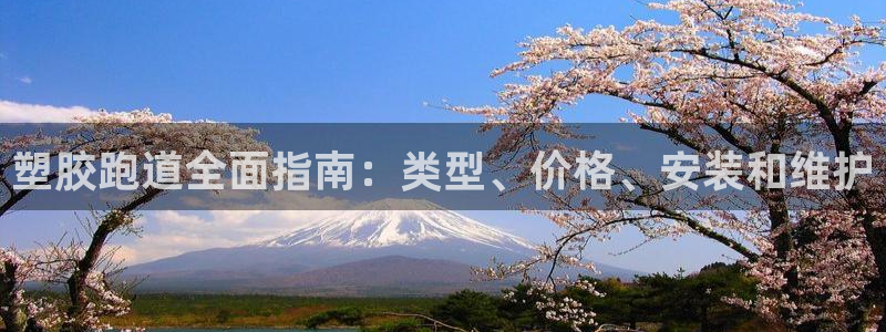 666814红·足一世比分：塑胶跑道全面指南：类型、价格、安装和维护