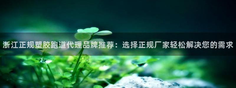 333814红足1世