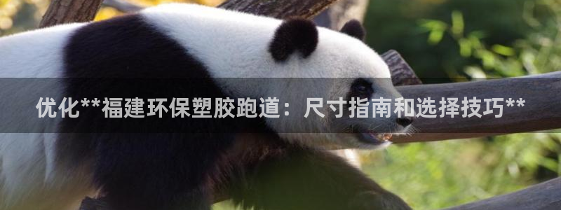 红世一足球比分