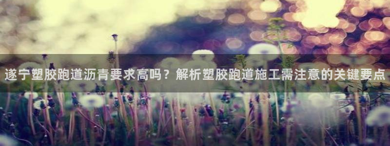 红足1一世足球手机：遂宁塑胶跑道沥青要求高吗？解析塑胶跑道施工需注意的关键要点