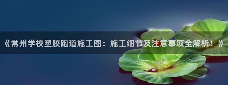红足 世足球手机网：《常州学校塑胶跑道施工图：施工细节及注意事项全解析！》