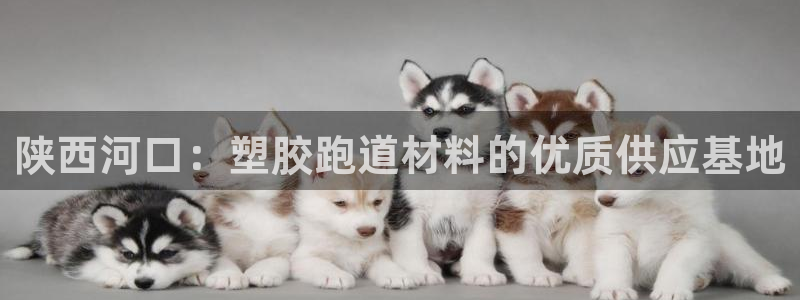 红足1世足球网址：陕西河口：塑胶跑道材料的优质供应基地