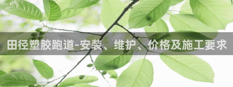 红足1世足球网址大全：田径塑胶跑道-安装、维护、价格及施工要求
