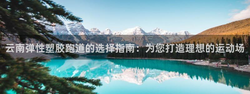 红足一1世比分球探：云南弹性塑胶跑道的选择指南：为您打造理想的运动场