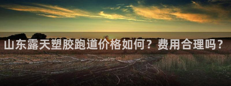66814红足：山东露天塑胶跑道价格如何？费用合理吗？