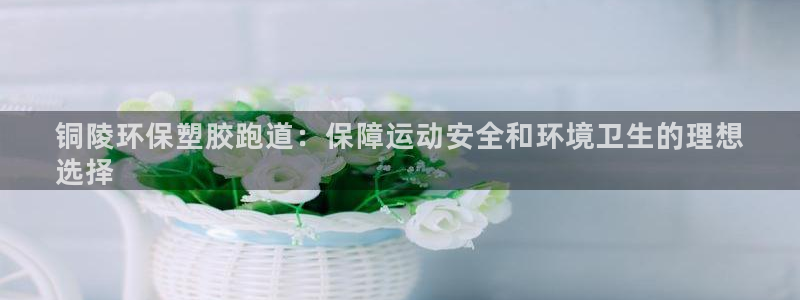 333814红·足一世比分：铜陵环保塑胶跑道：保障运动安全和环境卫生的理想
选择