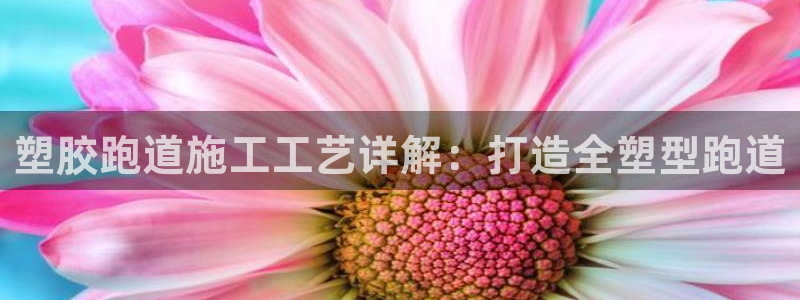 红足1一世开奖版：塑胶跑道施工工艺详解：打造全塑型跑道