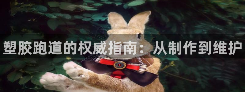 红足1世1站：塑胶跑道的权威指南：从制作到维护