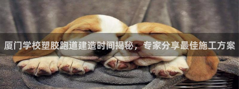 红足一1世官网足球推荐真人：厦门学校塑胶跑道建造时间揭秘，专家分享最佳施工方案