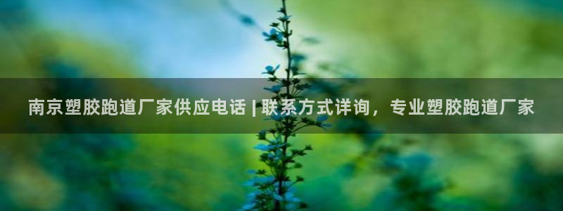 红足一1世开奖记录：南京塑胶跑道厂家供应电话 | 联系方式详询，专业塑胶跑道厂家