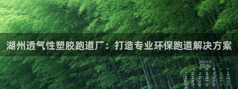 红足 世足球手机网：湖州透气性塑胶跑道厂：打造专业环保跑道解决方案